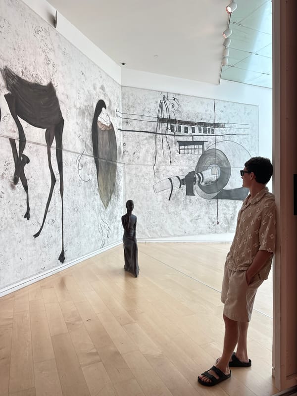 Gallery visitor documents artworks in Tel Aviv museum
