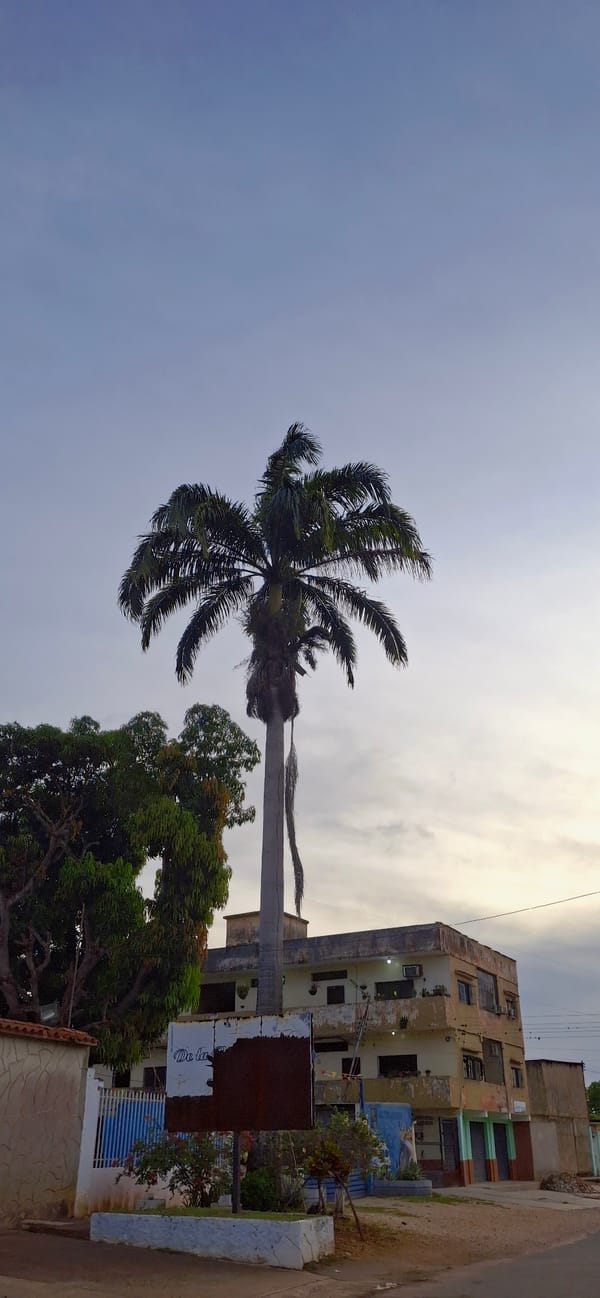 Twilight drive through Tinaquillo streets, Venezuela