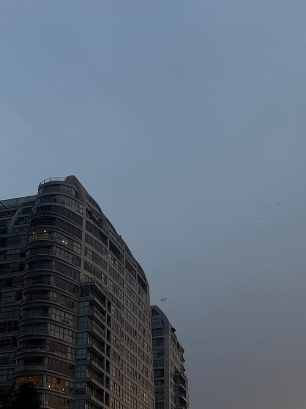 Museums photographed from street level in Mexico City