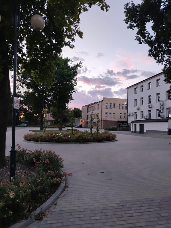 Neighborhood stroll turns into an evening flower survey