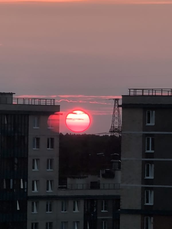 Saint Petersburg sunset and a quiet evening with home aquariums