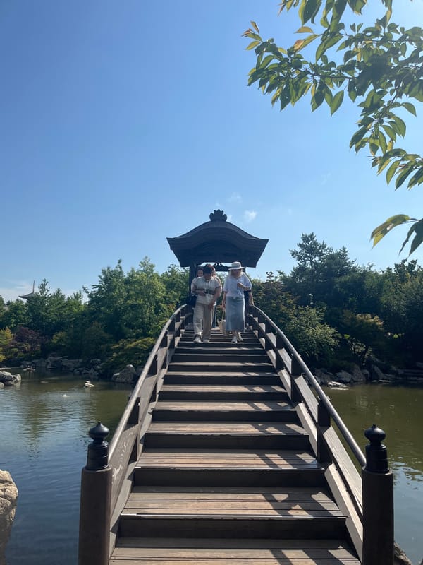Morning visit to Japanese garden documented in Krasnodar