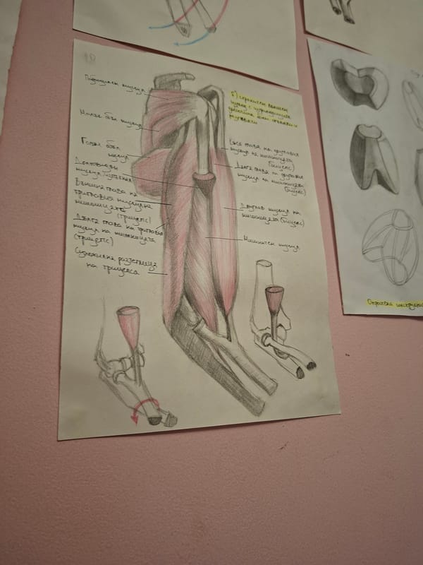 Anatomical drawings displayed on wall in Gabrovo, Bulgaria