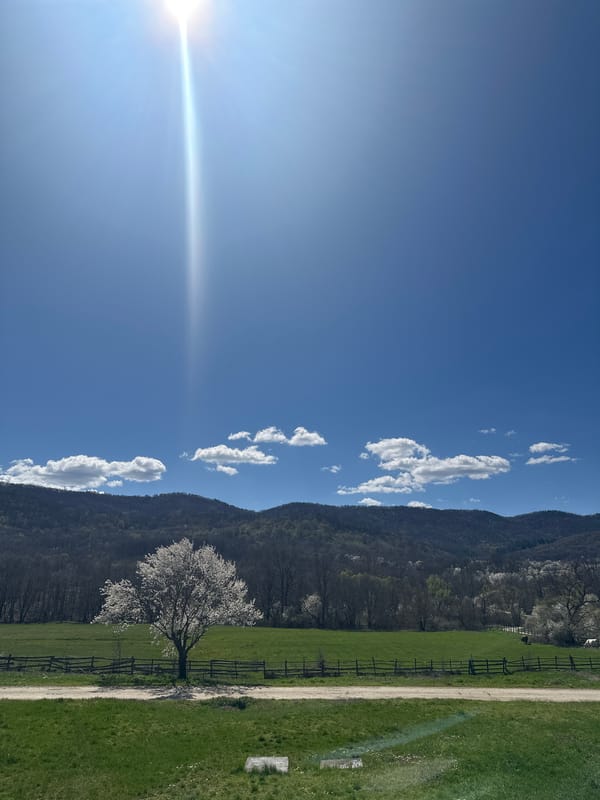 Rural mountain landscape observed under bright sunny skies