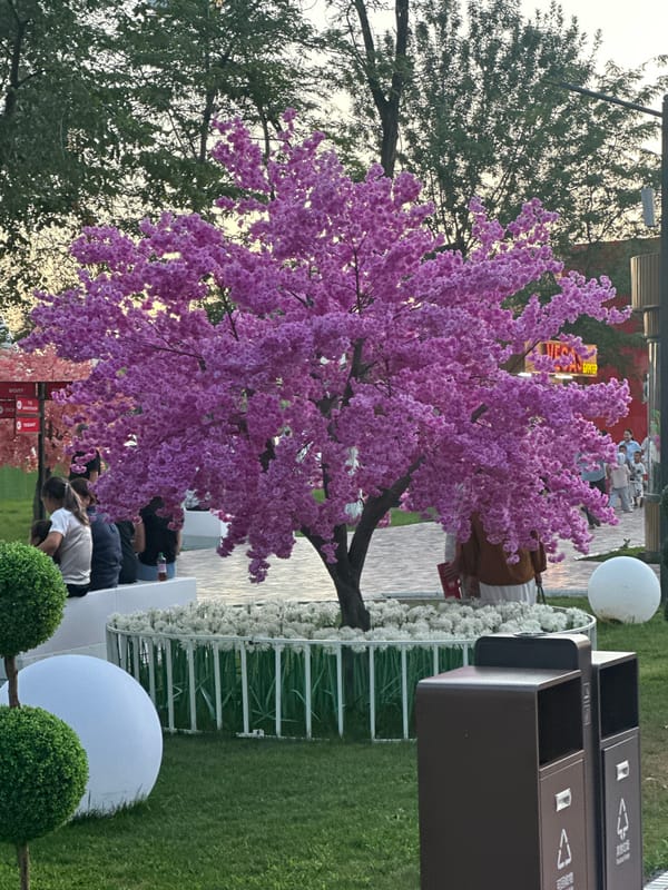 Evening out at Manas Park, Kyrgyzstan's busy local fairground