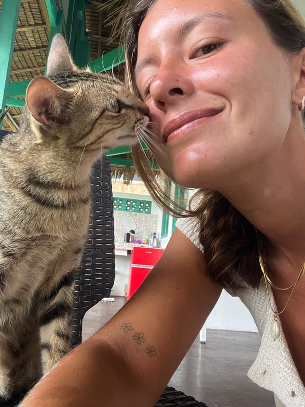 Cats, morning bread, and slow hours in General Luna