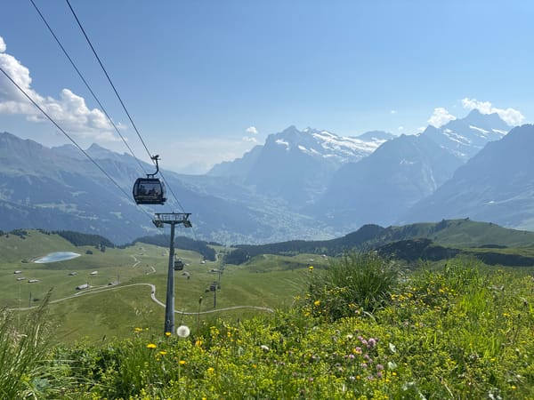 Sunny morning in Grindelwald: meadows, cable cars, alpine views