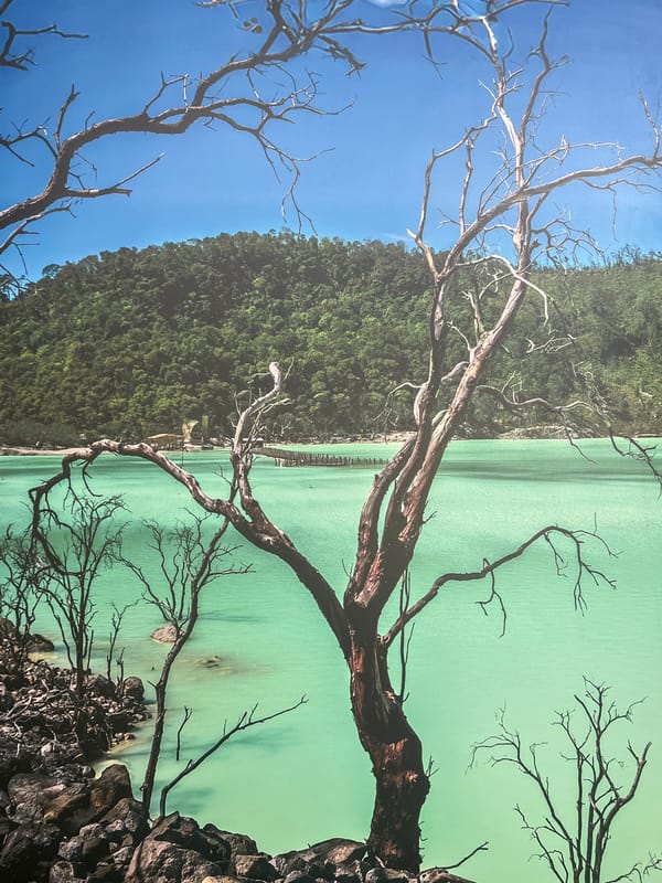 Kawah Putih, city streets, and tea fields across Bandung