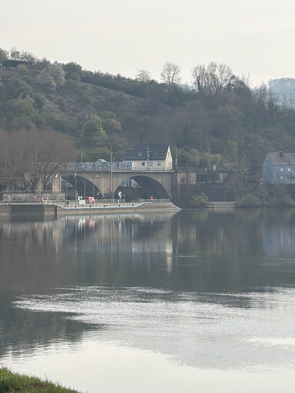 Morning light illuminates Moselle River bridges in Luxembourg