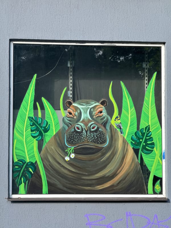 Hippo painting with tropical bird spotted on Riga wall