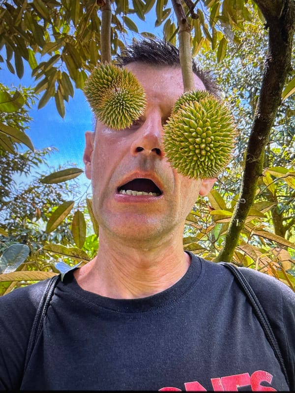 Durian goofing around and a golden Buddha shrine