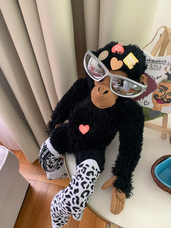 Sunglasses-wearing plush gorilla toy photographed indoors in Serbia