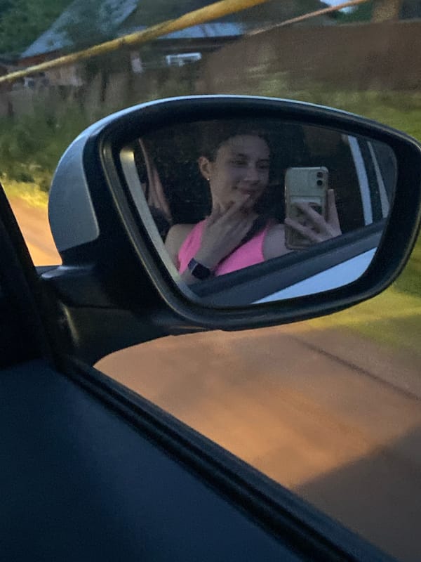 Evening drive through Votkinsk with pets as passengers