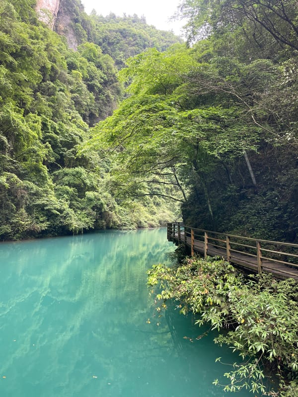 Morning scenic documentation of turquoise waters in Zhangjiajie forests