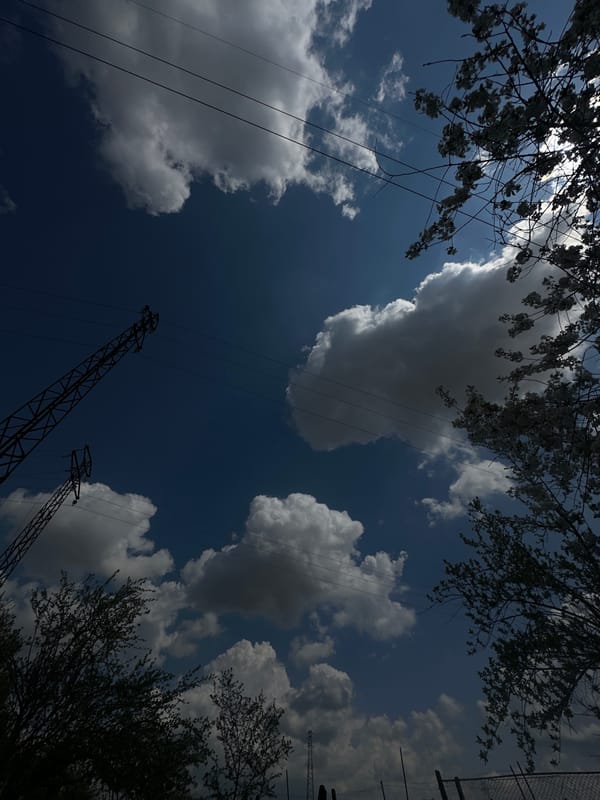 Spring morning scenes documented in Montana, Bulgaria