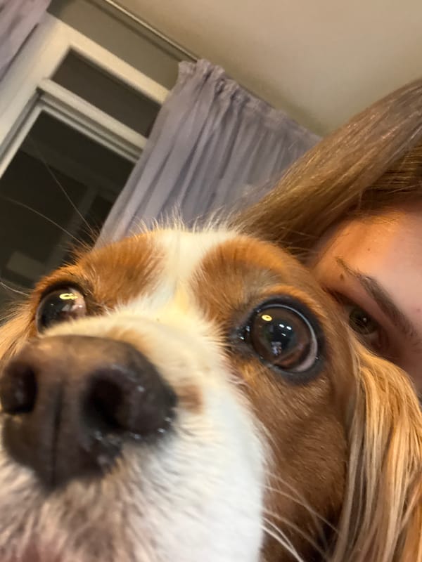 Woman photographed with Cavalier King Charles Spaniel in Sofia