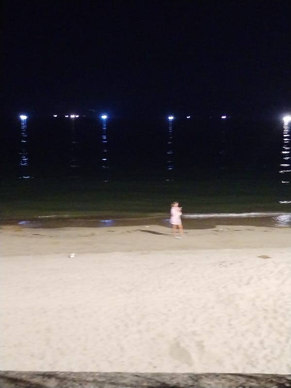 Nighttime social activity captured across Nha Trang Ward public spaces