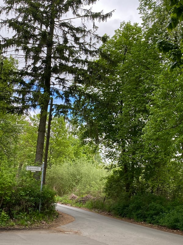 Berlin street sign captured on curved rural road