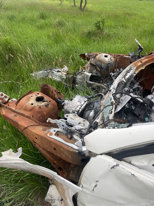 Burnt car wreck found in grassy field