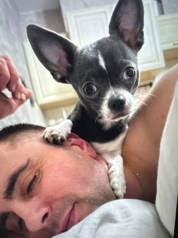 Quiet morning with pets captured in Russian village