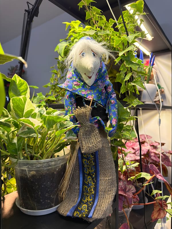 Chihuahuas, cherries, and folk decor in an Ashkelon home