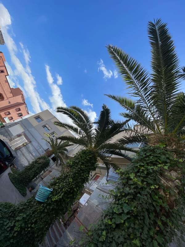 Street scenes captured in Safi, Morocco show palms, clothing