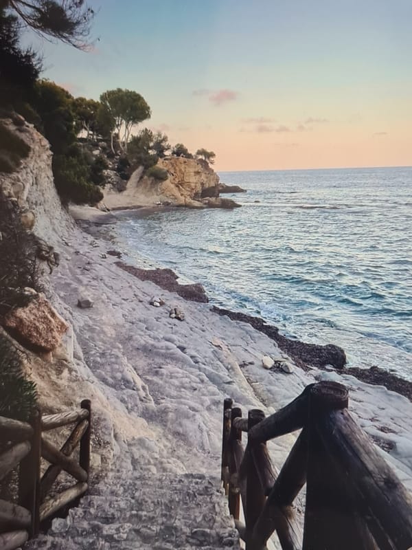 Coastal sunrise/sunset scene documented by single witness