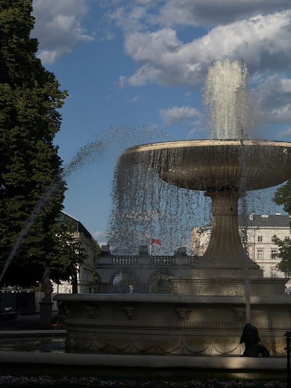 Urban park fountain and vendors captured in afternoon documentation