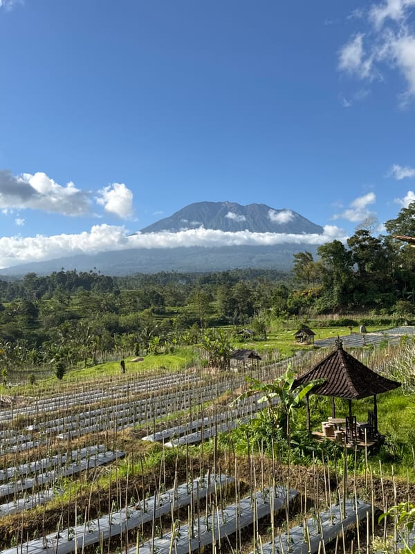 Mount Agung looms over rice paddies in rural Sidemen