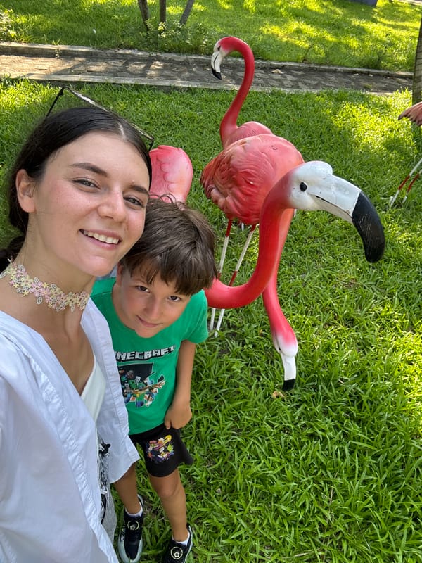 Posing with pink flamingos at a park in Thuận Nam