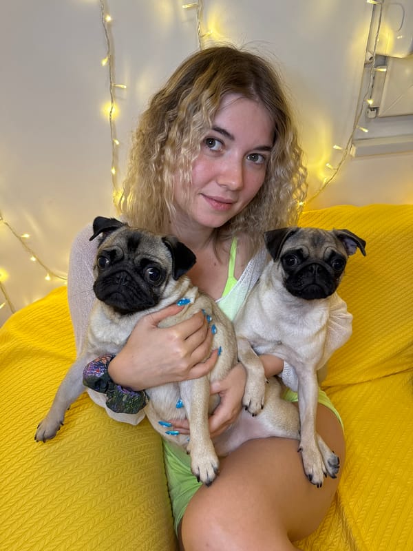 Pugs on a couch and a box of pastel marshmallows