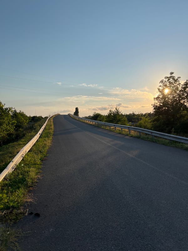 Roads, cows, and Soviet-era apartments in coastal Ureki, Georgia