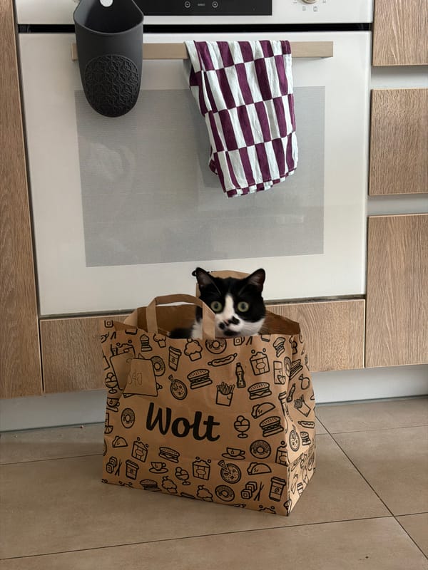 Belgrade resident documents cat, coffee, and city life moments