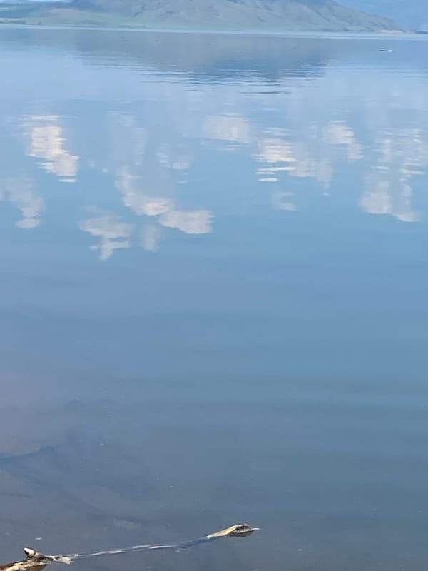 Calm water with submerged object observed near Ust'-Erba, Russia