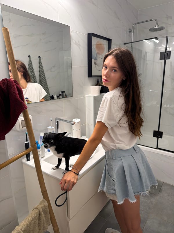 Chihuahua hangs out on a bathroom counter in Tel Aviv