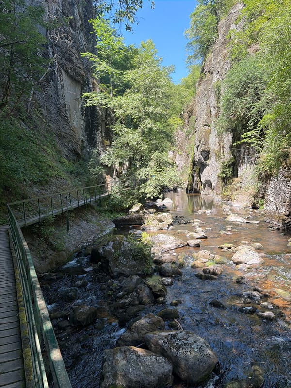 Morning in Devin's gorges: streams, rocks, and a caterpillar