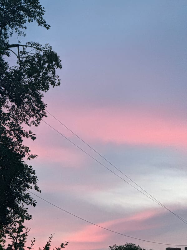 Moscow summer sunset, pink skies over rooftops and trees