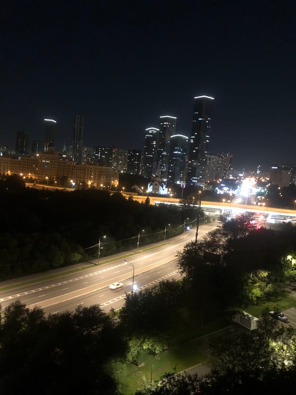 Evening in Moscow: city traffic, pets, and a neighborhood park