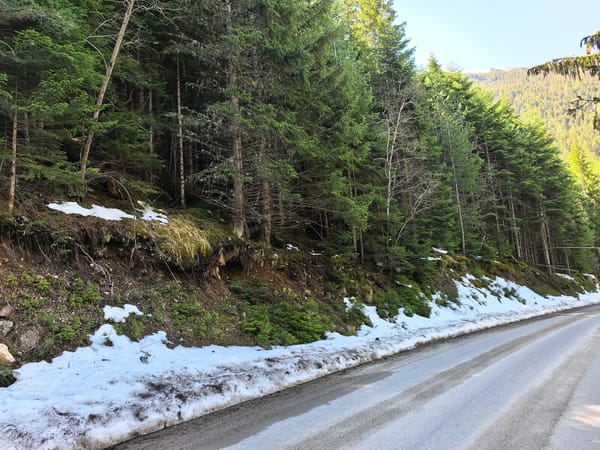 Mountain forest drive captured in 18-minute spring journey