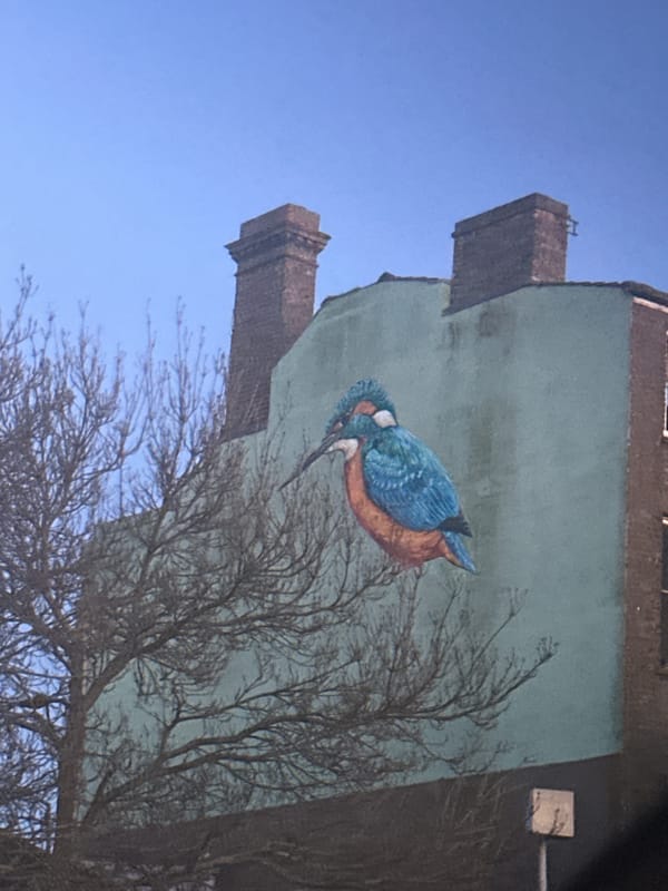 Evening drive through East Suffolk captures harbor, streets, car details