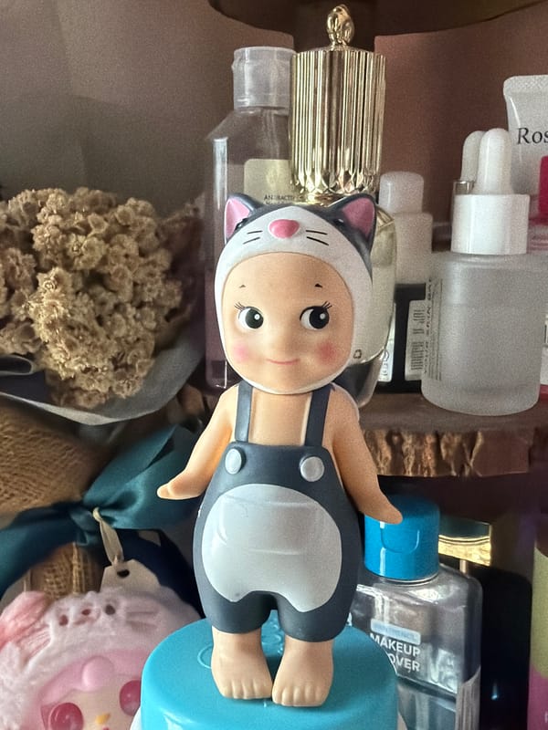 Personal items photographed on shelf in East Jakarta home