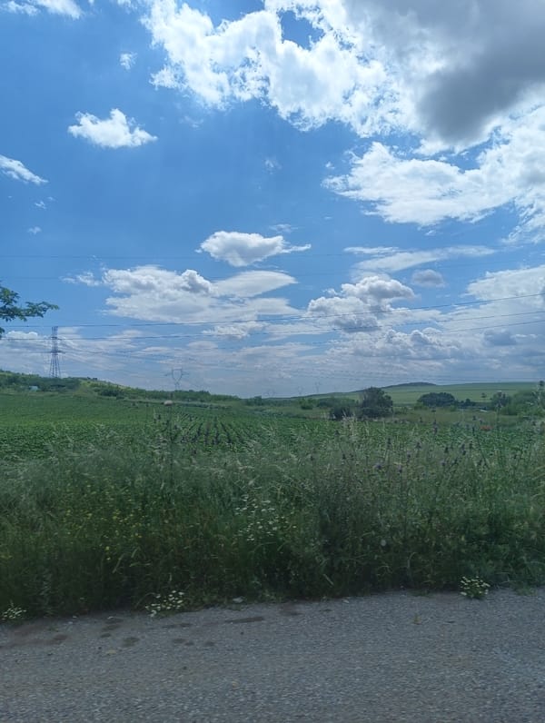 Rural landscape and urban car dealership captured simultaneously