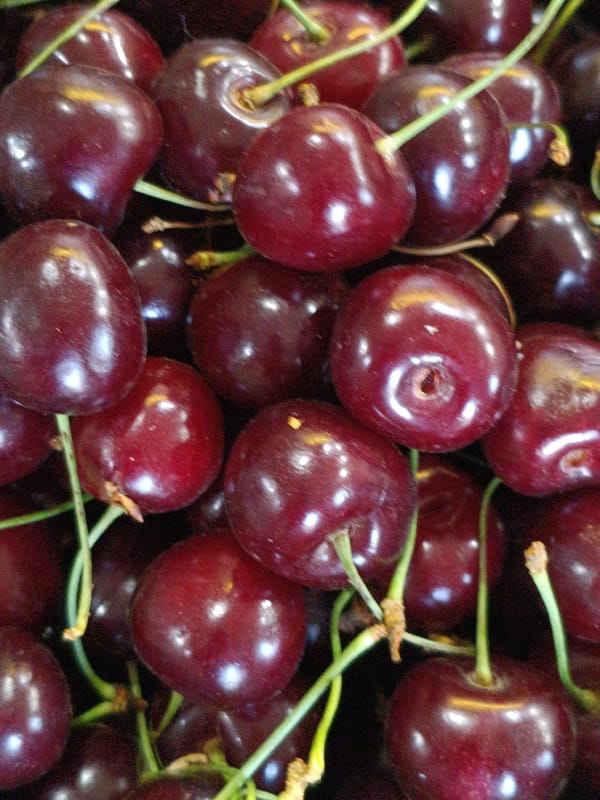 Fresh produce and garden life, close up in Martuni
