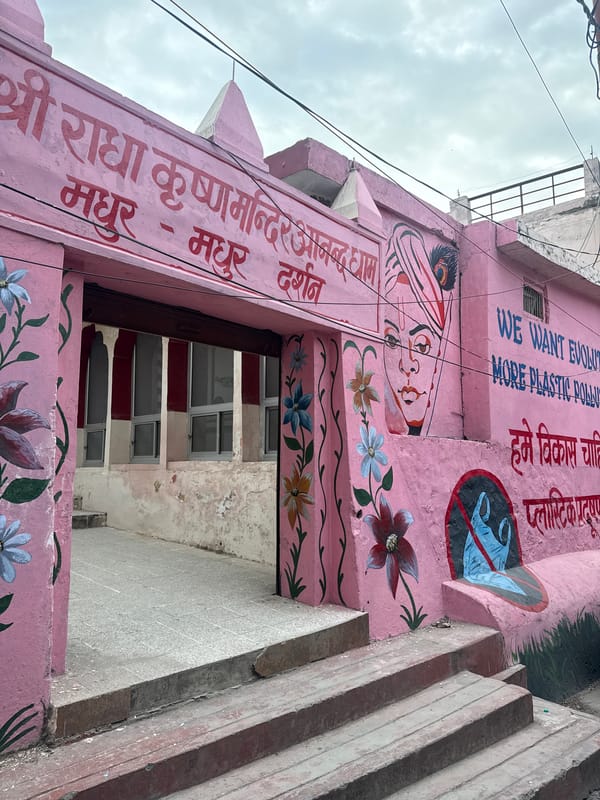 Temple and wildlife sightings across northern India locations