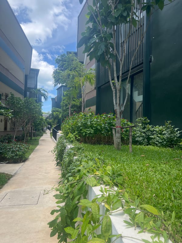 Tropical garden details around modern Ko Samui buildings