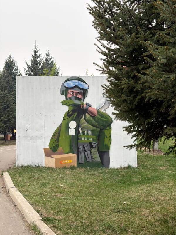Witness documents Birobidzhan landmarks including Tsoi memorial, military mural