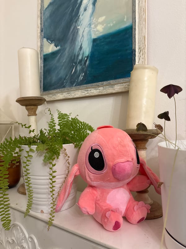 Home snapshot: food, pets, and art all at once