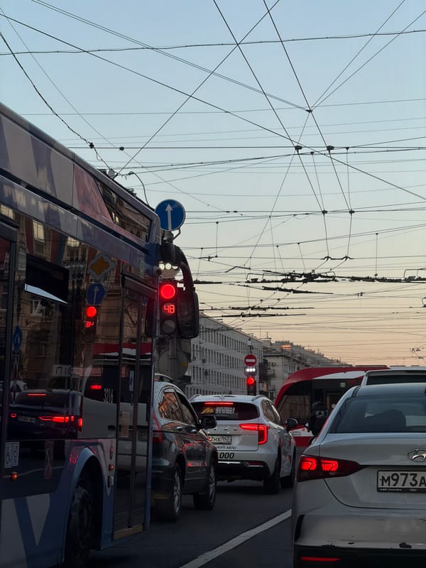 Saint Petersburg street and sunset selfie, July evening