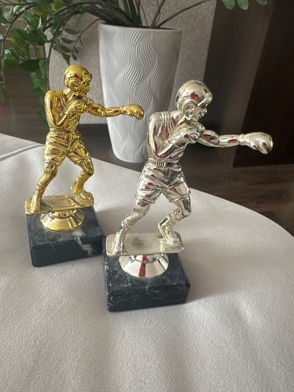 Trophies, crystals, and a sunny Khabarovsk neighborhood from above