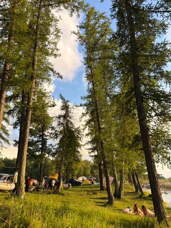 Lakeside campsite at sunset, trees and calm water